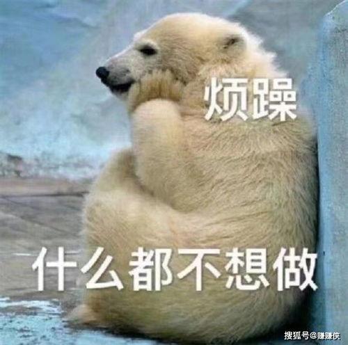 优美吃瓜群众图片,跟随优美吃瓜群众，感受夏日清凉时光