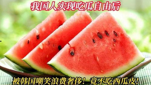 韩国人吃瓜自由,全民吃瓜,自由畅享娱乐盛宴