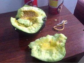 农村老公吃瓜,瓜田里的欢乐时光