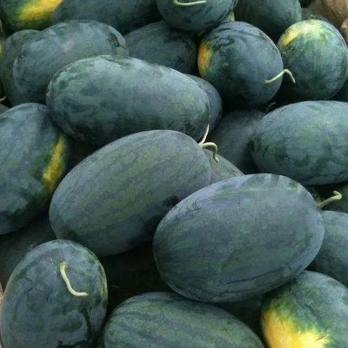 泉州宝珊吃瓜,揭秘吃瓜群众的欢乐盛宴