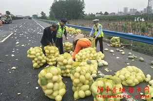 平邑吃瓜群众,揭秘当地生活百态