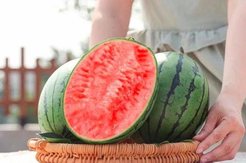 云木吃瓜进不去,揭秘无法进入的神秘世界