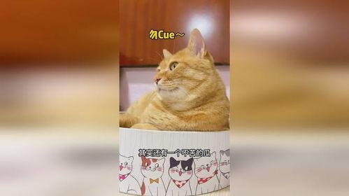 猹吃瓜吃自己身上,自食其果的奇妙奇遇