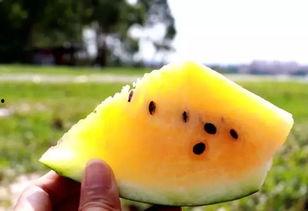 动感吃瓜小沙子,揭秘娱乐圈幕后风云