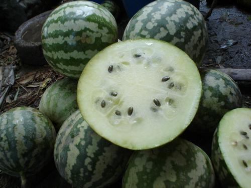 台湾腾瓜怎么吃,解锁美味新体验