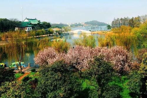 莲花湖公园吃瓜,公园里的一抹瓜香时光