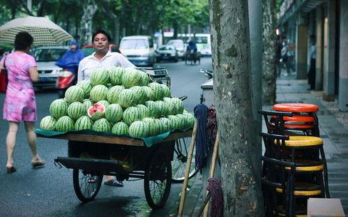 瓜塘里的瓜怎么吃,多样食法尽享夏日清新