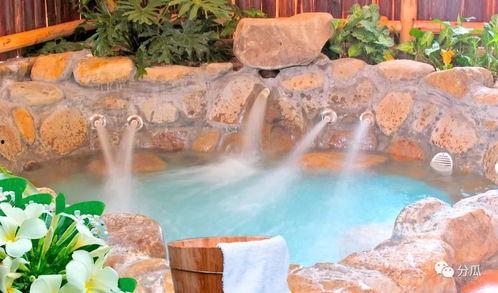 温泉湖吃瓜新闻事件,揭秘网络舆论的风暴与真相