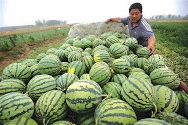 近几天吃瓜,明星动态揭秘